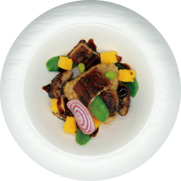 <p>Grilled Eel over Umami Rice with Savory Sauce<br />
 </p>
